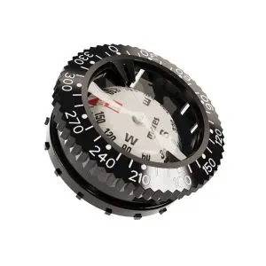 Instrument COMPASS MODULE